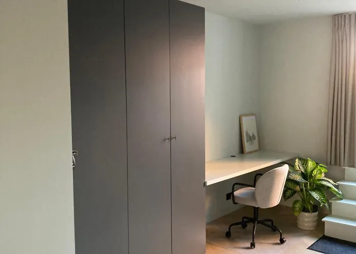 Allies Avenue Lovaina